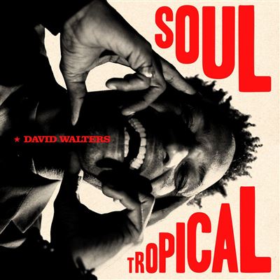 DAVID WALTERS - Soul Tropical 2xLP